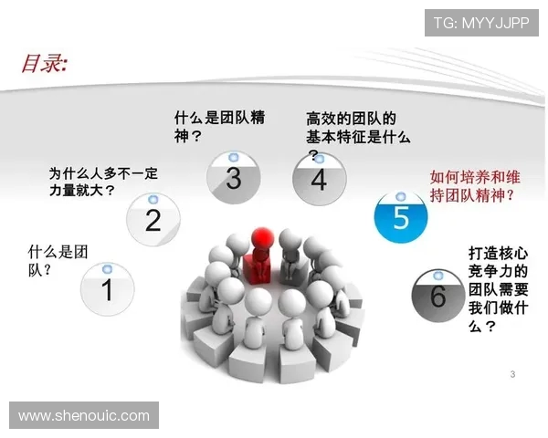 上海羽毛球队团队协作的成功秘诀与发展探讨