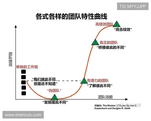 重庆排球队的战术节奏与团队协作的深度分析与探讨