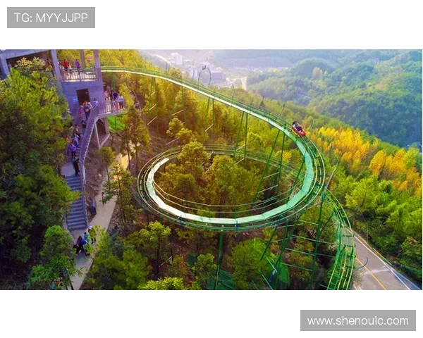 重庆极限运动队在世界攀岩锦标赛中的速度表现分析与点评