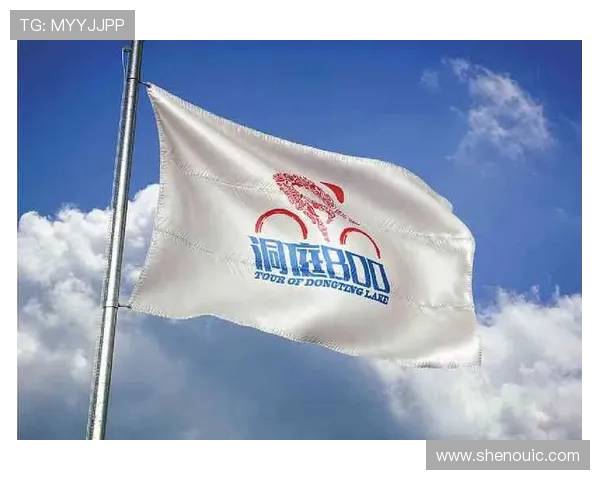 重庆飞盘队边路渗透战术创新解析与实践探讨