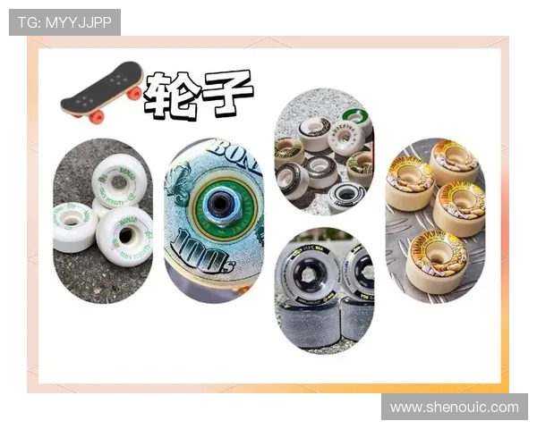 陈丽独家分享滑板技巧与心得体会助你轻松入门与提升滑板水平