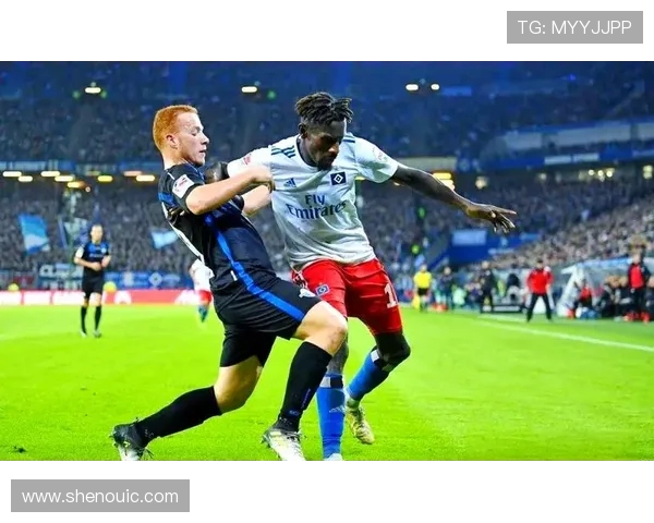 帕德伯恩与汉堡精彩对决视频回顾及赛后分析